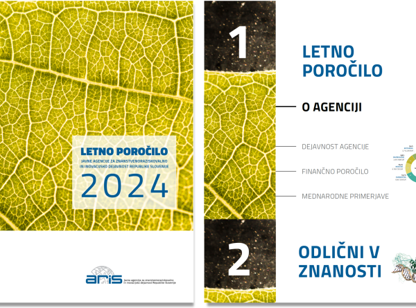 Letno poročilo 2024